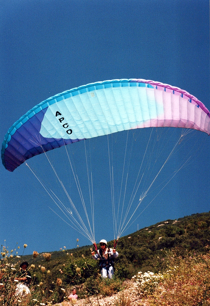 1996 - Organya 10 (Sabra II - APCO).jpg